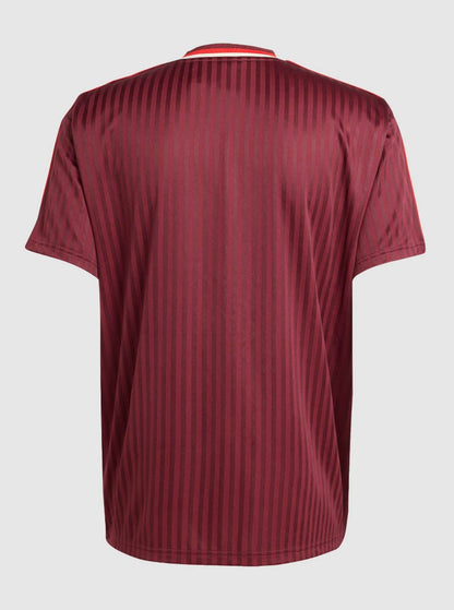Maglia Collezione Bayern Monaco 2025 ICON (Collezione speciale) Versione Giocatore